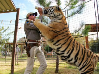 A still of Joe Exotic feeding a tiger in Tiger King